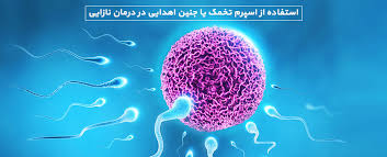 استفاده از اسپرم، تخمک یا جنین اهدایی در درمان نازایی - 2238 | مجله ایرانگان