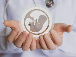 اهدای جنین چگونه انجام می شود؟ | هزینه اهدای جنین | بهترین مرکز اهدای جنین  در تهران