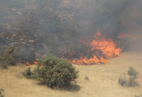 جنگل های بلوط کوخدان درنزدیکی منطقه حفاظت شده دنا در آتش می سوزد