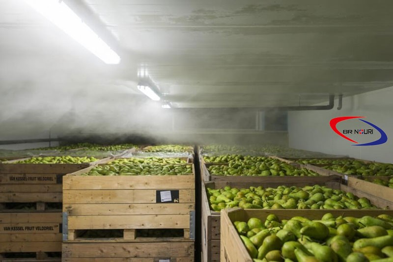 ضرورت ساخت سردخانه میوه در سراسر کشور