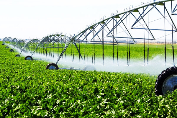 اجرای آبیاری زهکشی در ۶۰ هزار هکتار از اراضی کشاورزی اردبیل