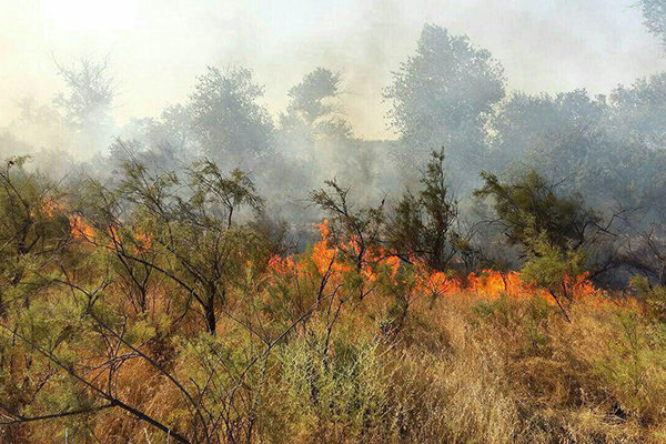 آتش‌سوزی در جنگل‌های حاشیه رود ارس/ اطفا حریق ادامه دارد
