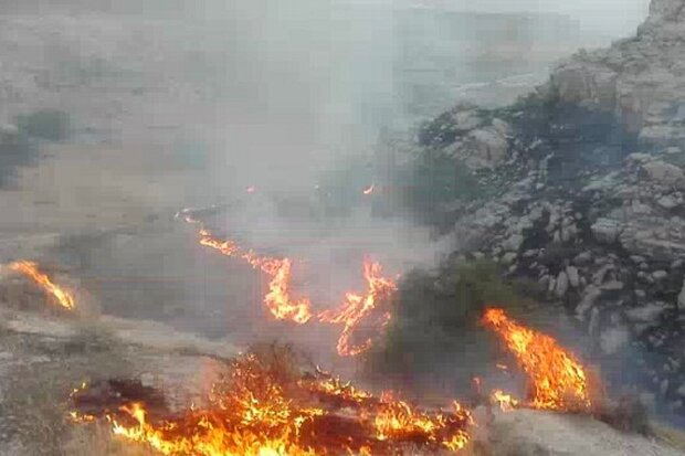 آتش‌سوزی در ارتفاعات بهمرد شهرستان دشتستان همچنان ادامه دارد