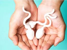 بارداری با اسپرم اهدایی و درصد موفقیت آن - رادینا سلامت