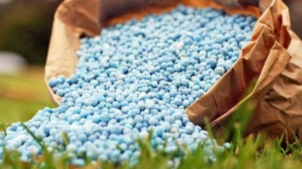 ذخیره‌سازی ۷ هزار تن کود برای کشت پاییزه در گلستان