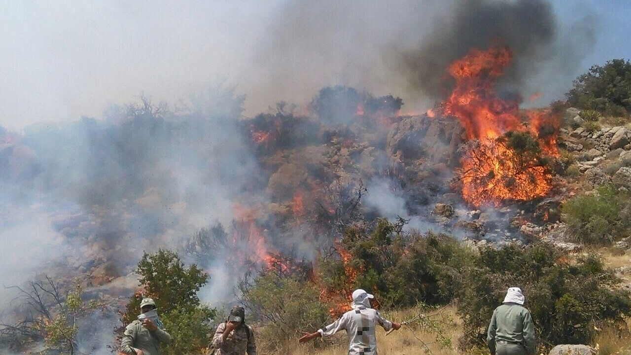 شکارچیان غیرمجاز الیت را آتش زدند! + فیلم