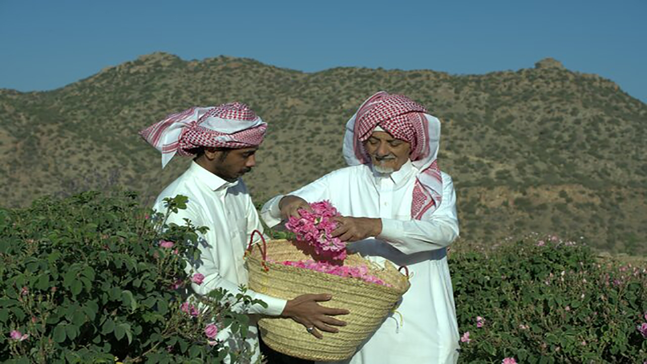 ماجرای خبر «ثبت گل محمدی بهنام عربستان» چیست؟