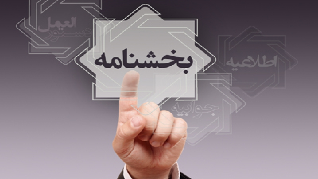 وصول مابه‌التفاوت نرخ ارز از واردکنندگان متخلف در مراجع ذی‌صلاح پیگیری می‌شود