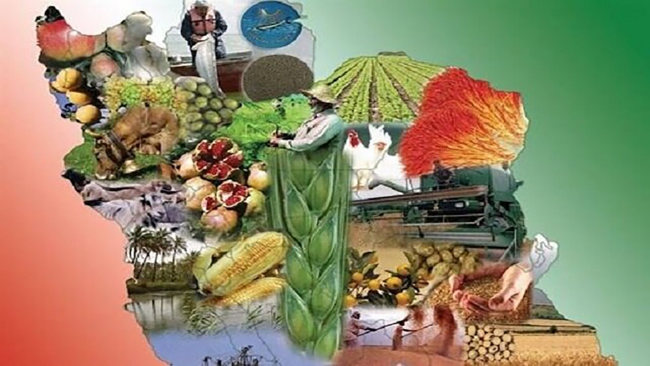 چرا دانشگاه و صنعت غذا در ایران راه مشترکی پیدا نمیکنند؟