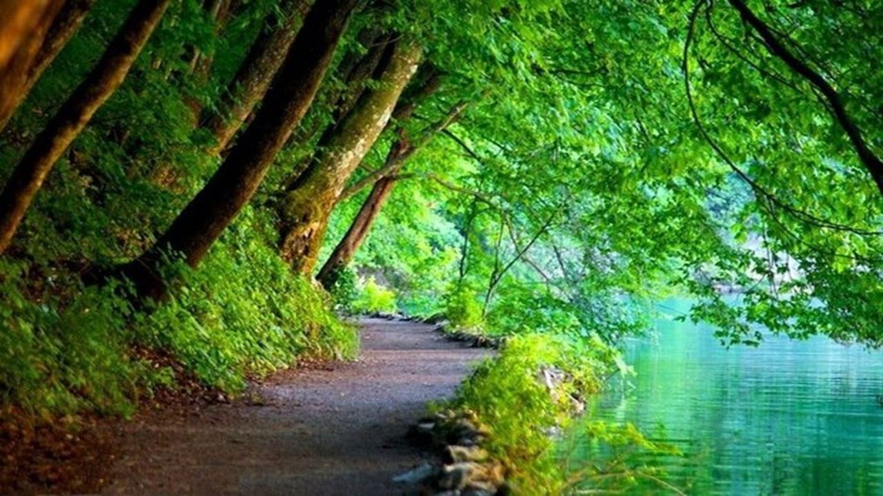 راز جاودانگی انسان در بهشت؛ لذت اهل ایمان با یاد خداست نه نعمتها