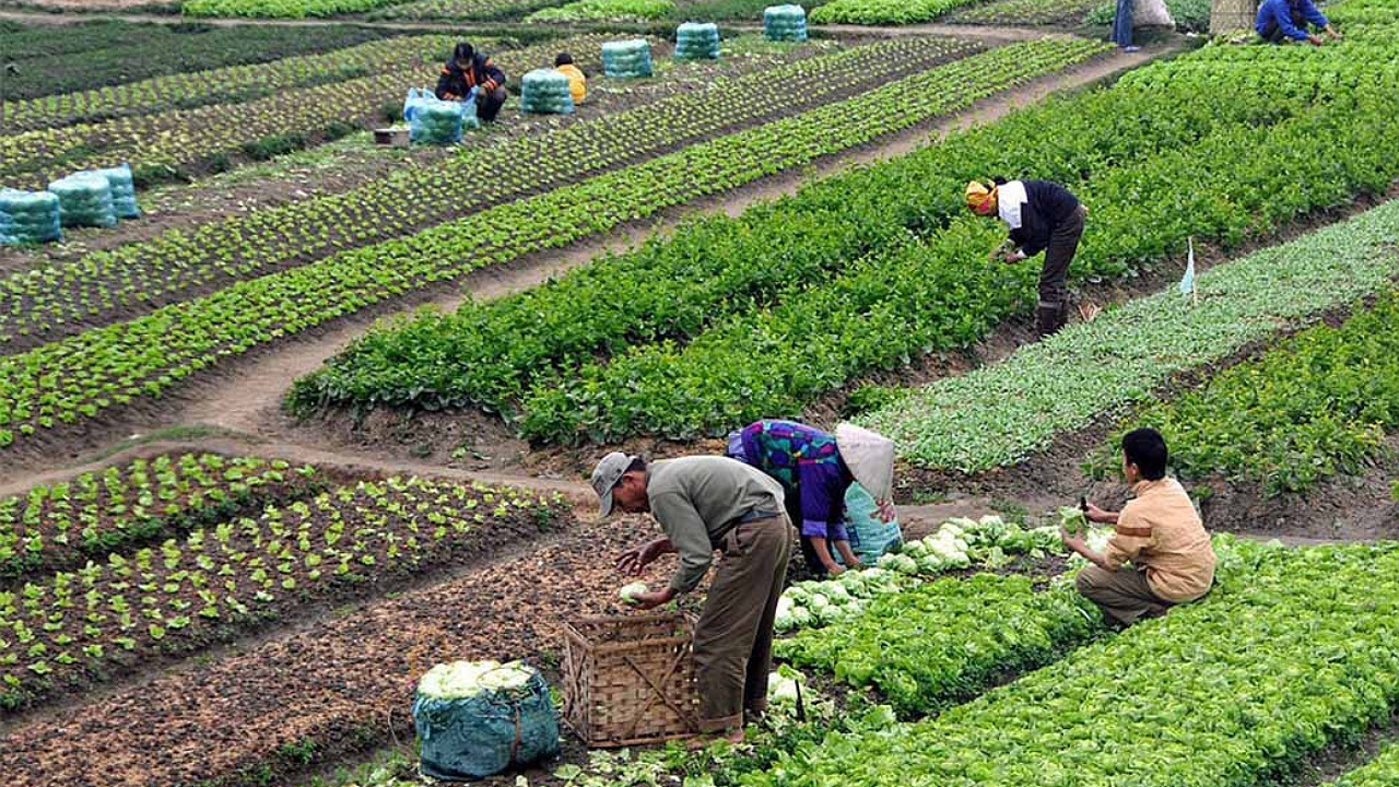 تفاهم‌نامه ایجاد بیش از ۸۰ هزار طرح کسب و کار در ۱۷ هزار روستای کشور