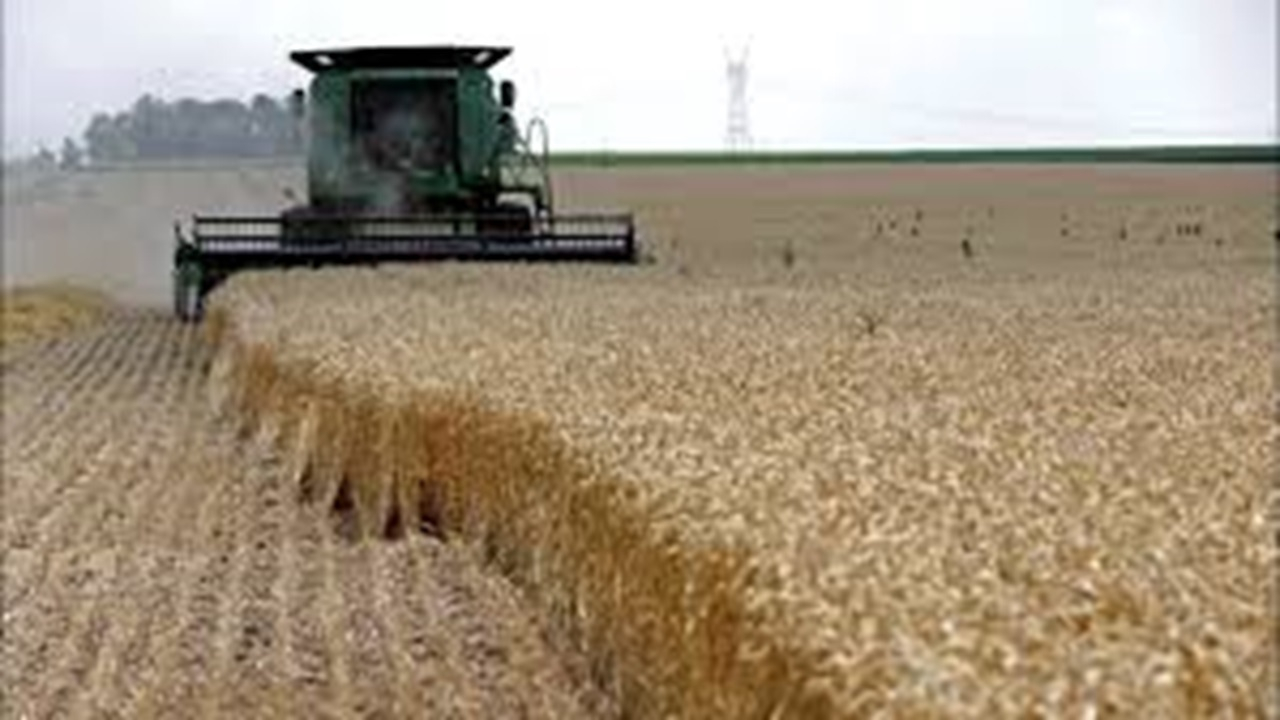 بسیج بازوی ترویج کشاورزی + فیلم