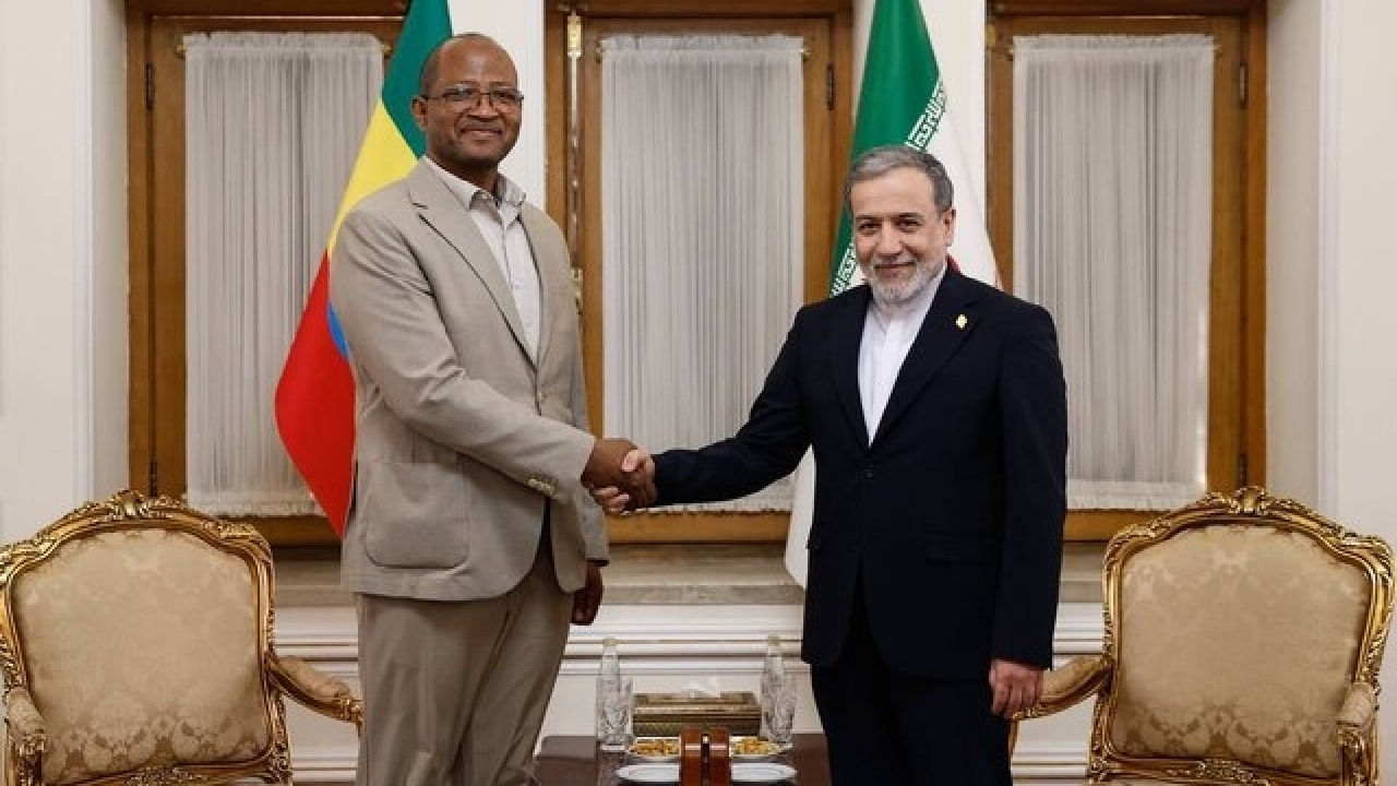 دیدار رئیس مجلس نمایندگان اتیوپی با عراقچی