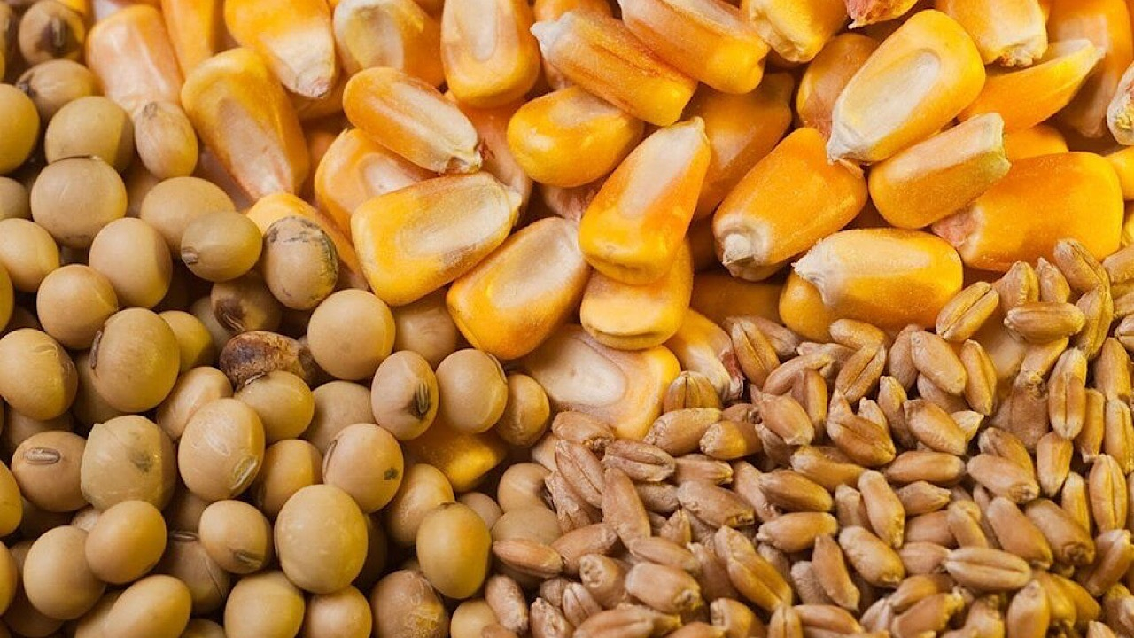پشتیبانی امور دام تولید را معطل تامین نهاده نمیگذارد