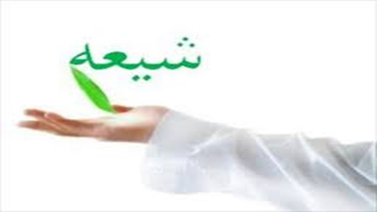 ریشه‌های تاریخی تشیع؛ از سقیفه تا ملازمت با نص قرآن و سنت