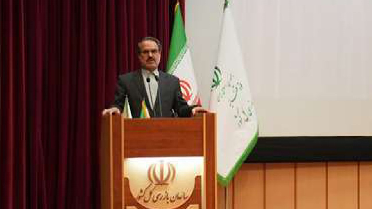 سازمان بازرسی هیچگاه مانع فعالیتهای قانونی مدیران و دستگاهها نیست