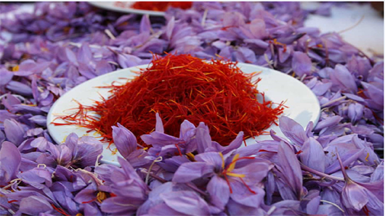 جلوگیری از قاچاق ماهانه زعفران ۱۶ میلیون دلار ارز آوری در بر دارد
