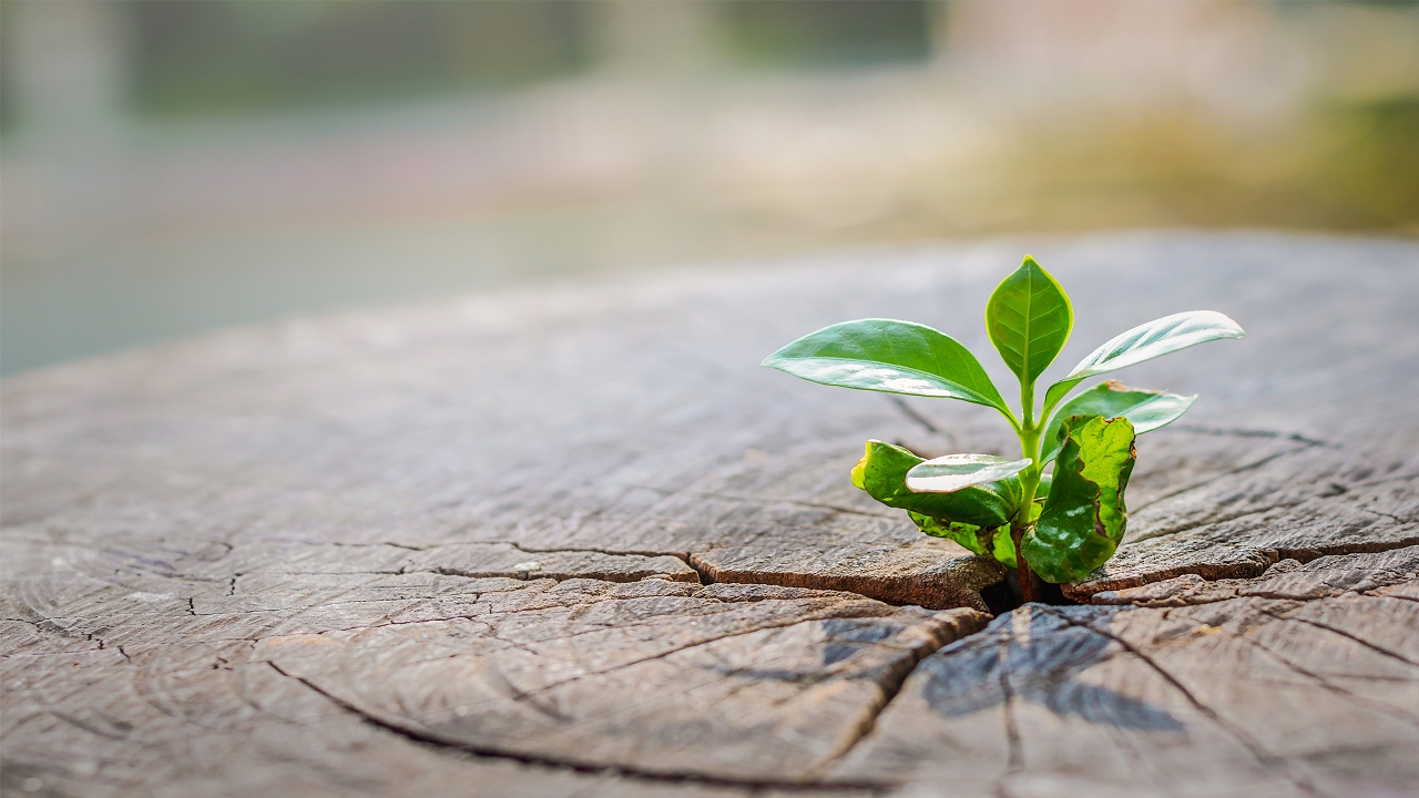 ۱۰ دلیل علمی برای اینکه هرگز امیدتان را از دست ندهید