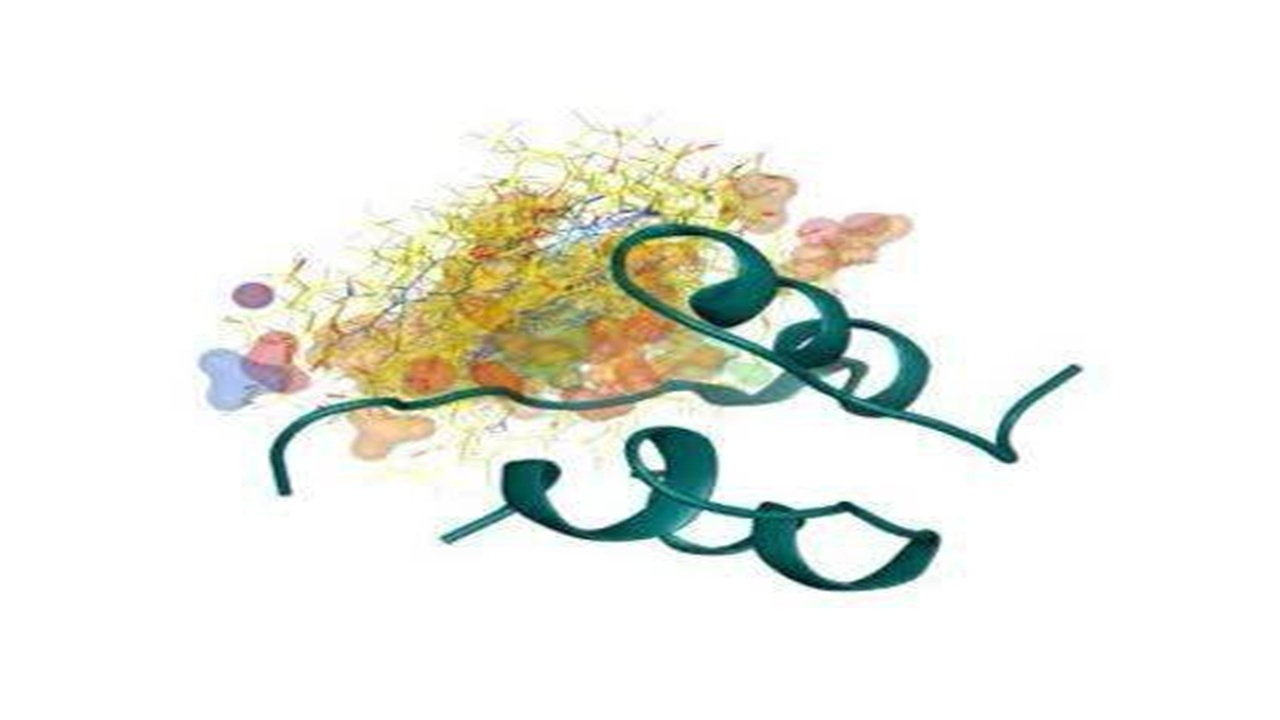 محافظت از لوزالمعده در برابر دیابت: پیوند شگفت‌انگیز آهن و انسولین