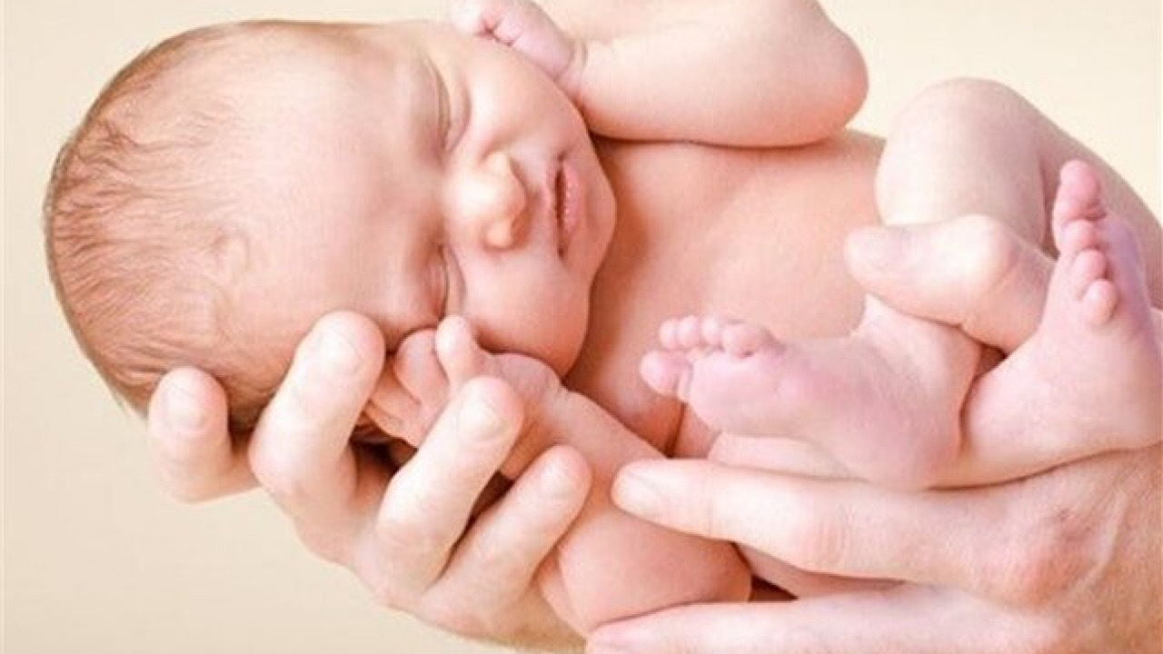 ثبت بیش از ۵۴۰ هزار واقعه ولادت در کشور طی ۷ ماه امسال