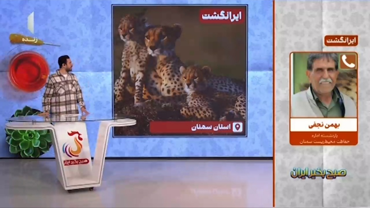 توجه بیشتر به محیطبانها ضروری است + فیلم