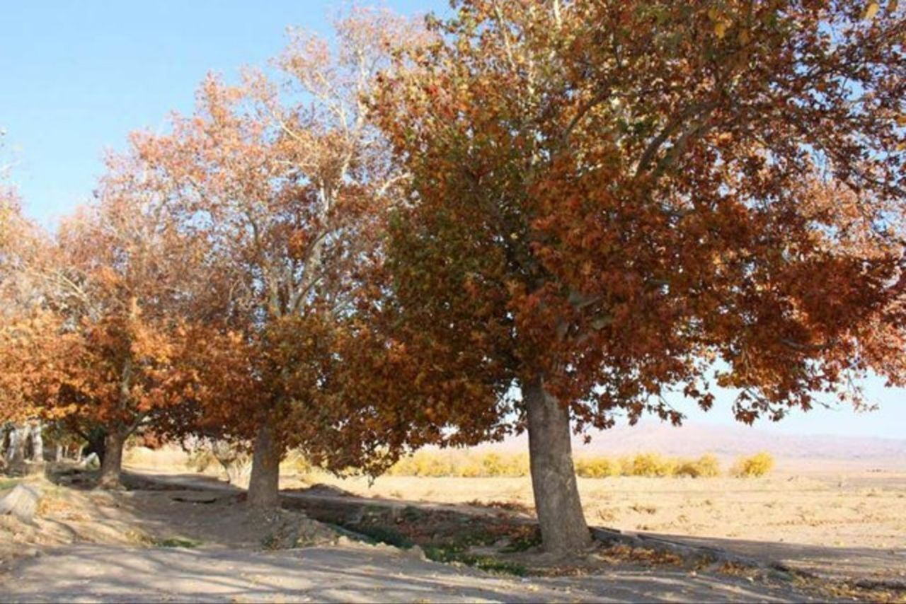 پاییز خشکتر از تابستان/ بارشها در تهران به کمتر از یک میلیمتر رسید