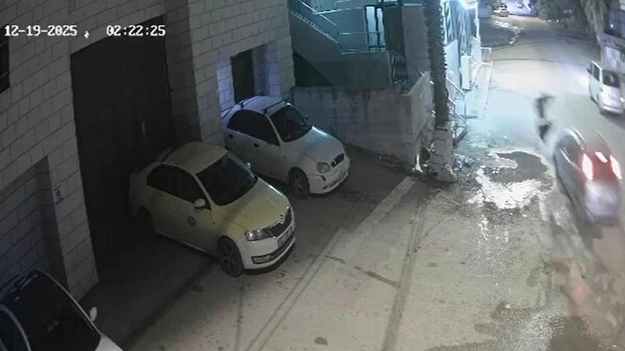 جنایت هولناک شهرک نشین صهیونیست در شرق نابلس + فیلم