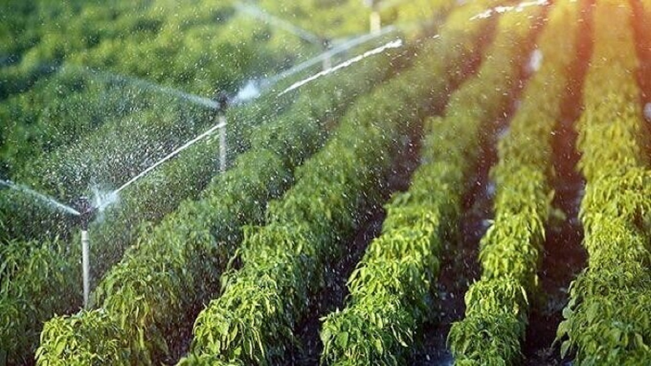 اجرای سامانه های نوین آبیاری به کمک بهره وری آب می آید