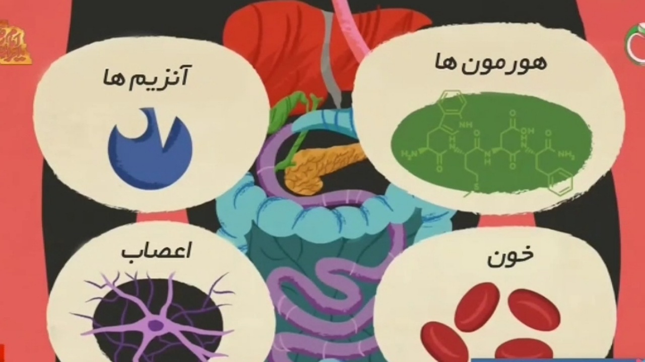 نکاتی درباره دستگاه گوارش + فیلم