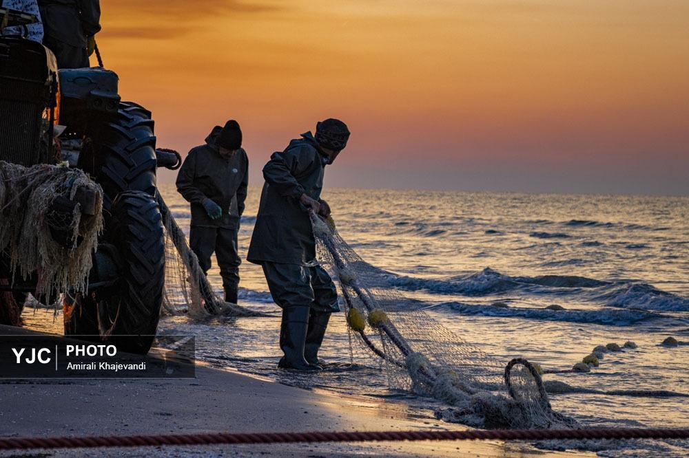 صید ماهی در مازندران