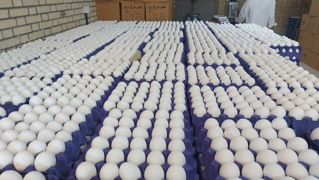 قیمت هر شانه تخم مرغ برای مصرف کننده ۵۰۰ هزار تومان