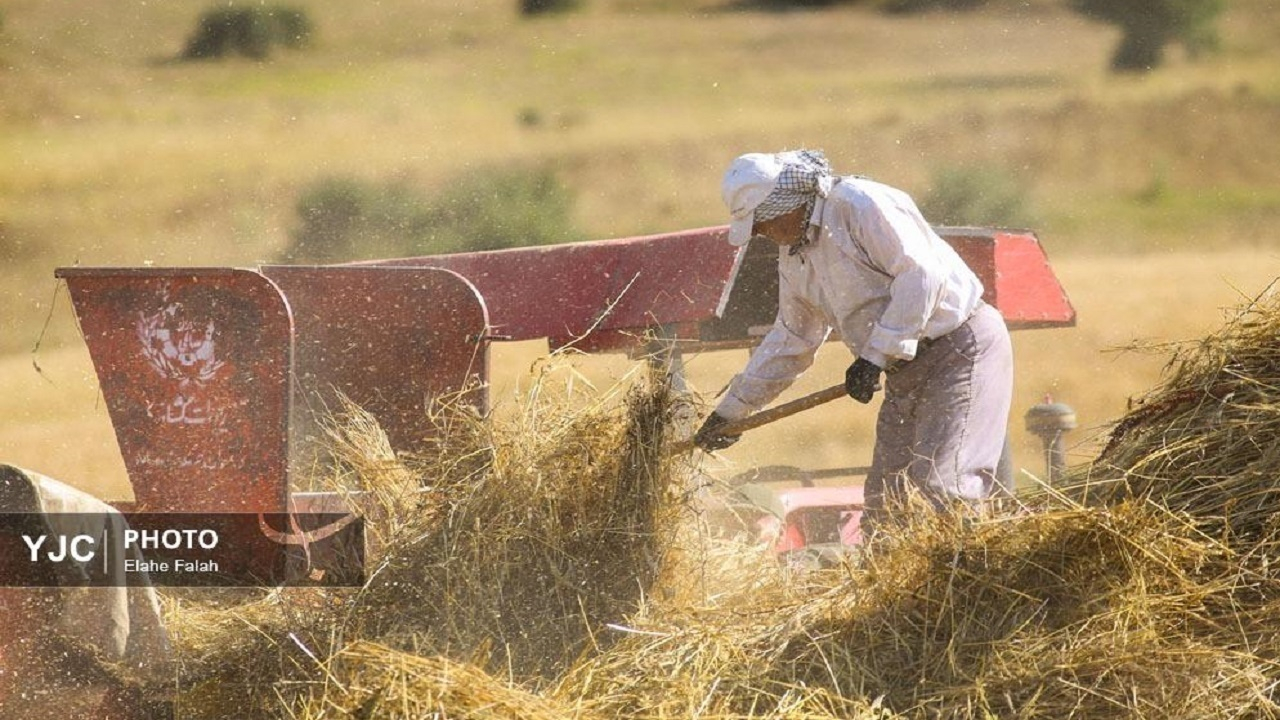 اصلاح قیمت خرید تضمینی گندم به کجا رسید؟