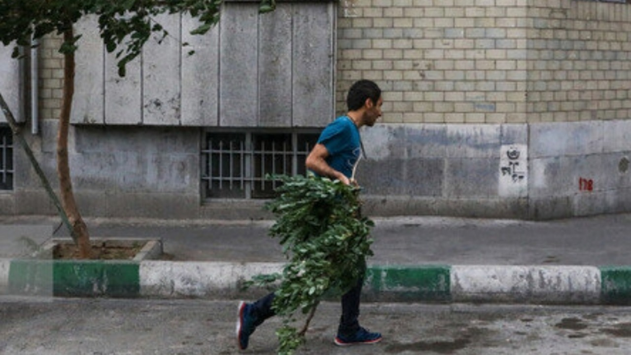 وزش تندباد لحظهای در تهران/ ماندگاری هوای گرم طی هفته آینده