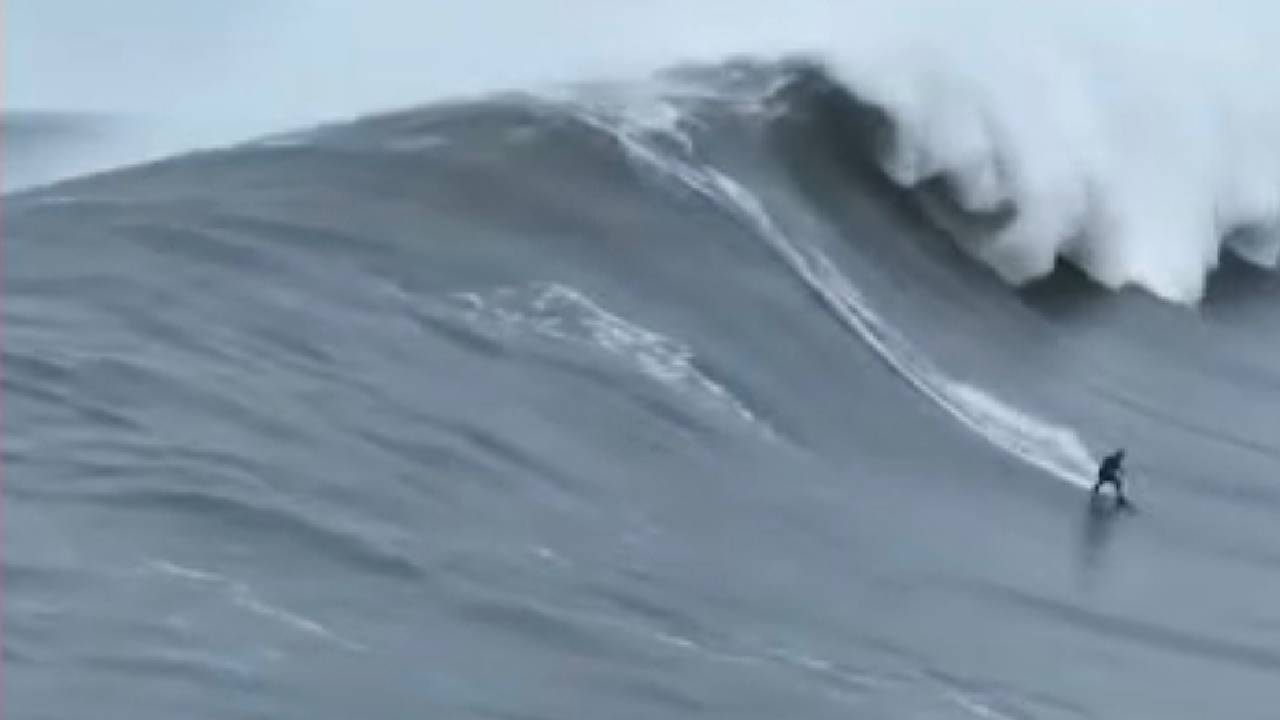 بررسی تاریخچه موجسواری در جهان + فیلم