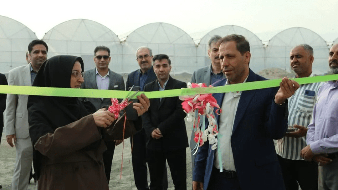 فاز سوم گلخانه آموزشی دانشگاه آزاد رودان به بهره‌برداری رسید