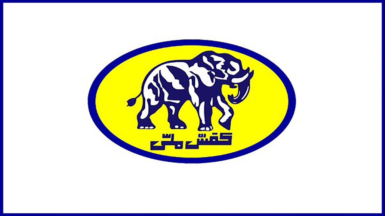 ورود دیوان محاسبات به واگذاری غیرقانونی ملک شرکت کفش ملی