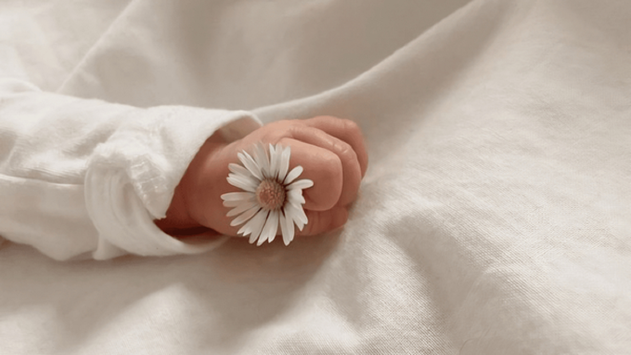 یلدایی که تمام نشدنی به نظر می‌آمد