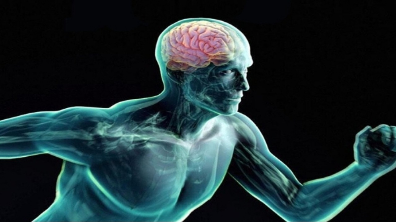 پادزهری طبیعی برای پیشگیری از پیری و آلزایمر