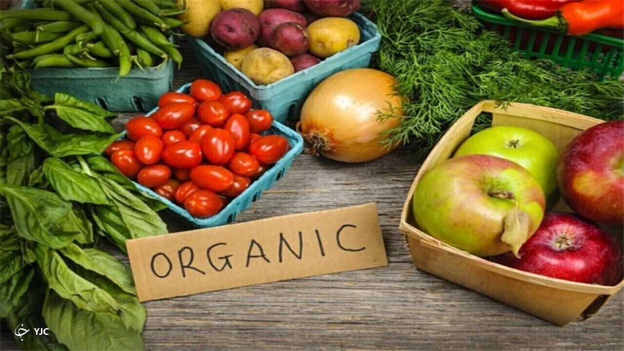 گردش مالی محصولات ارگانیک به ۵۰۰ میلیارد دلار می رسد