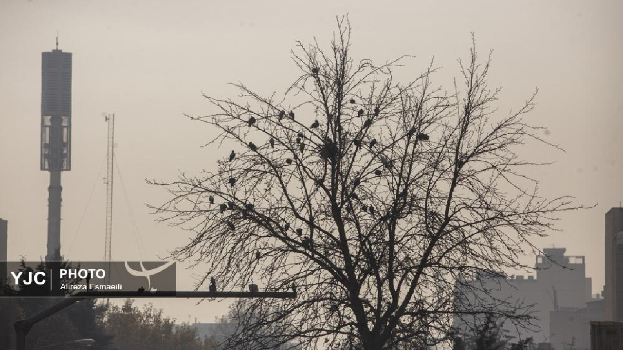 انتشار گزارش مقایسهای کیفیت هوای کلانشهرها/ کاهش هوای پاک و افزایش روزهای ناسالم