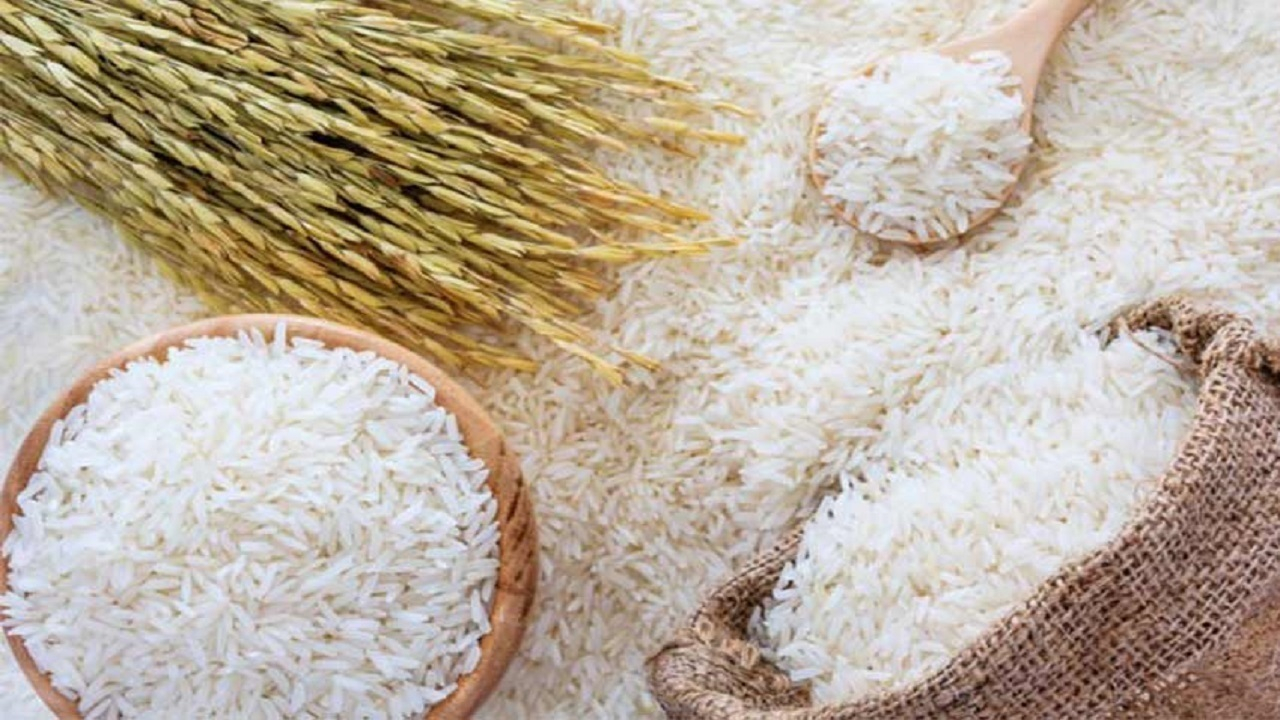 بازار برنج طی ۲ هفته آینده متعادل می شود/ احتکار برنج کذب است