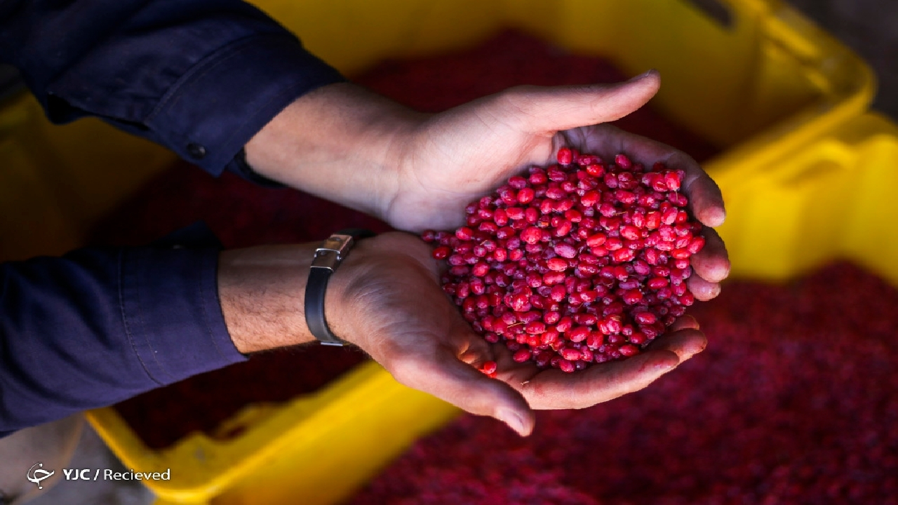 «ایران‌جان» در خراسان جنوبی؛ نقطه عطف دیده‌شدن سرزمین دین، دانش و تلاش
