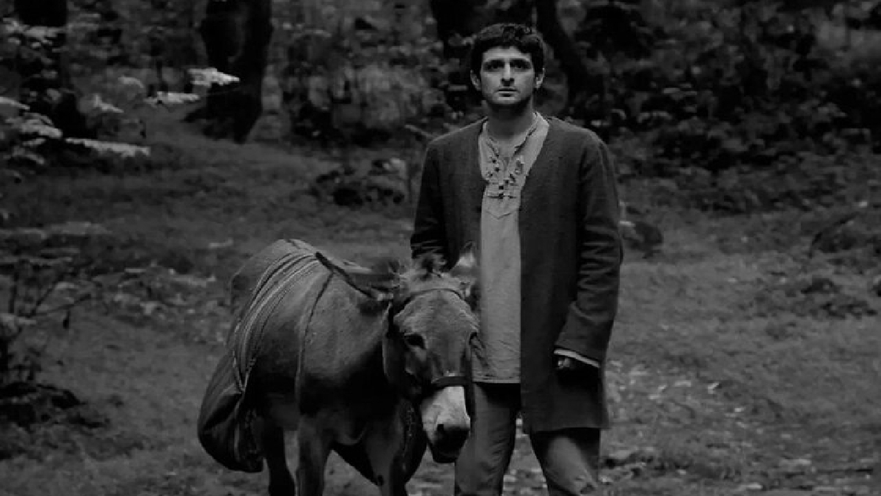 «به باد هم بگو» از آرژانتین جایزه گرفت/ فیلم خانی به اسپانیا رفت