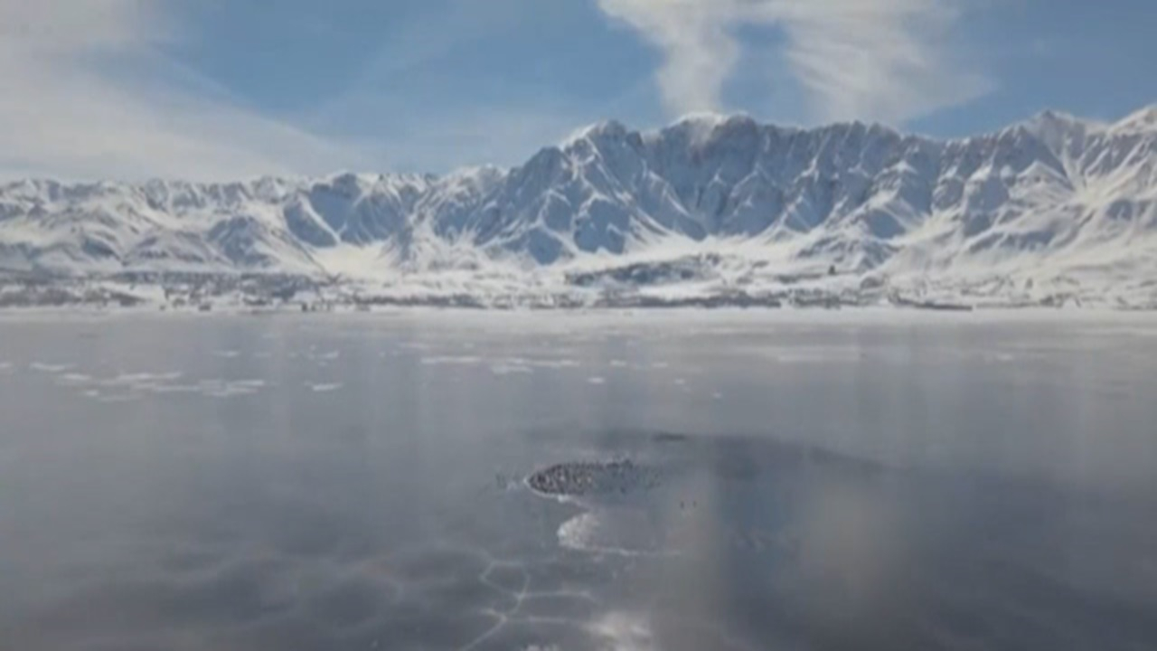 یخ‌زدگی بخشی از تالاب چغاخور + فیلم