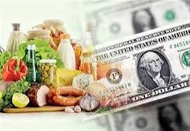 بازنگری در نحوه تخصیص ارز ترجیحی یک ضرورت راهبردی است