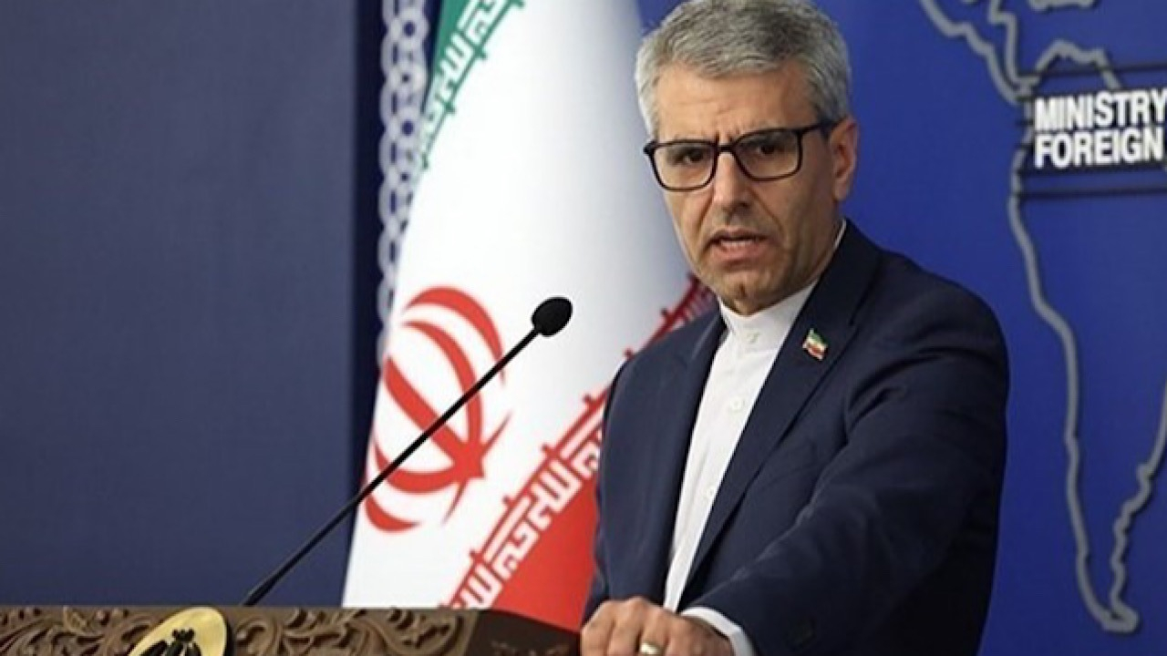 واکنش بقایی به تبیین جنایت صهیونیستها از سوی نماینده پارلمان اروپا