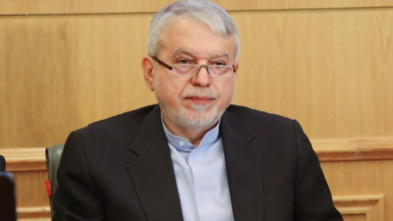 صالحی امیری: دیپلماسی فرهنگی، کلید ارتقای روابط ایران و مصر است