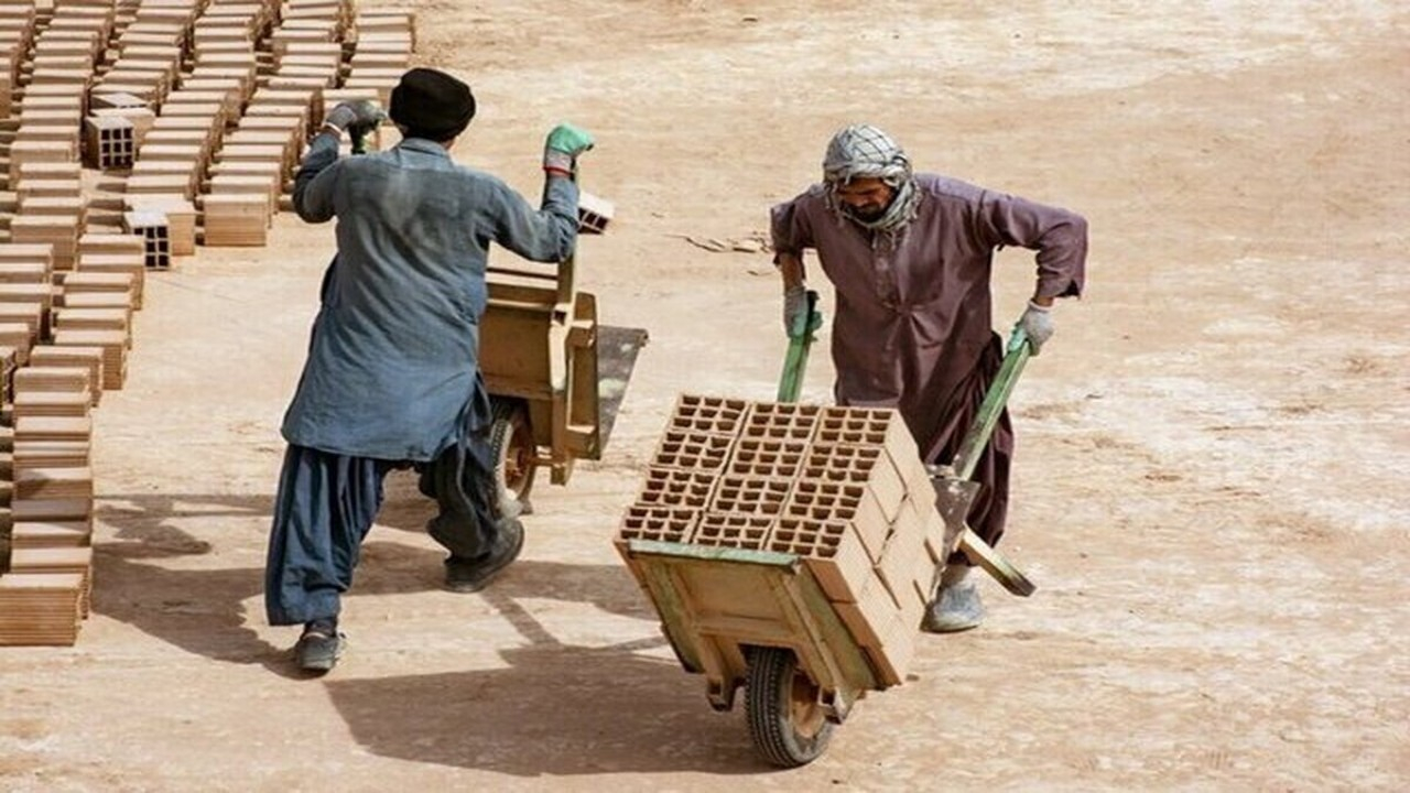 فعالیت بیش از ۵۰ درصد از نیروی کار اتباع در حوزه ساختمانی