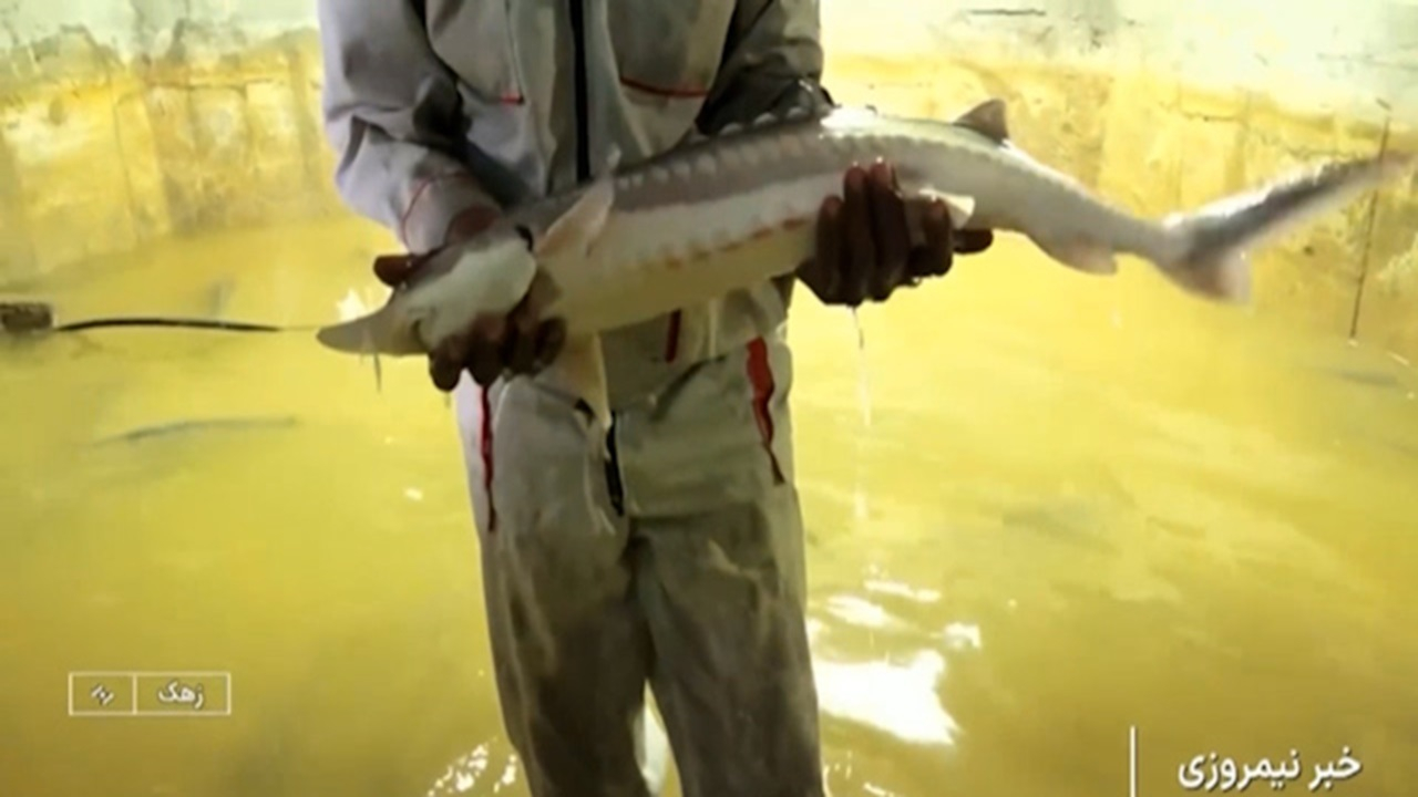 رویداد رسانهای «ایران جان» به میزبانی استان سیستان و بلوچستان + فیلم