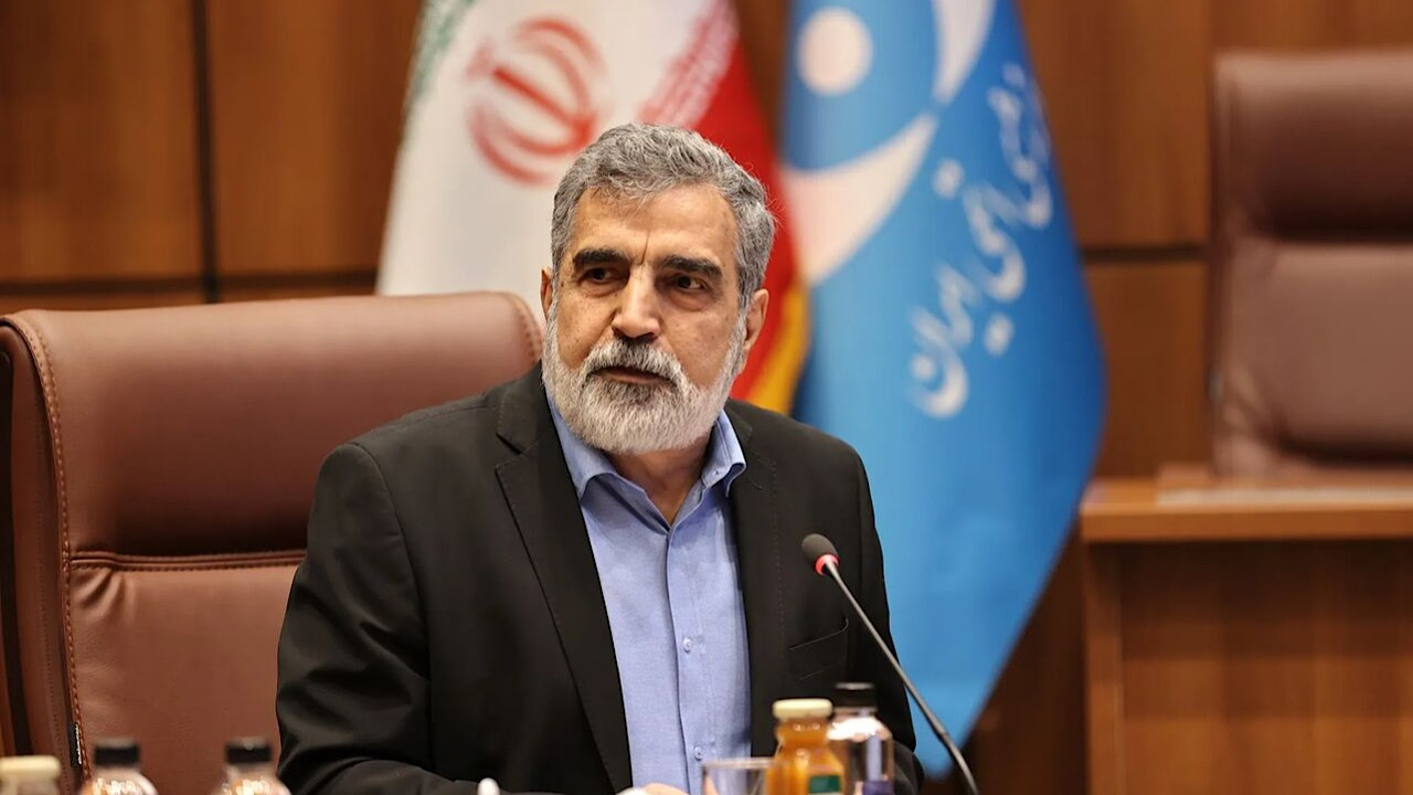 کمالوندی: پروتکل ساخت راکتورهای کوچک با روسیه در حال نهاییشدن است